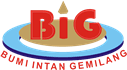 Logo PT Bumi Intan Gemilang